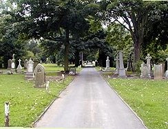 photo of Municipal (LA-LC) Cemetery