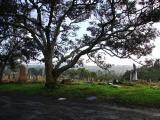 Waikumete Cemetery, Auckland