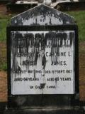 image of grave number 804084