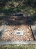 image of grave number 538525