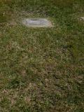 image of grave number 538543