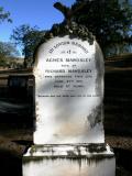 image of grave number 867900