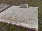 image of grave number 309041