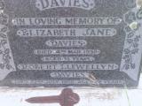 image of grave number 309064