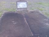 image of grave number 309067