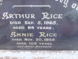 image of grave number 309073