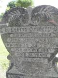 image of grave number 310743