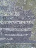 image of grave number 310887