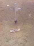 image of grave number 310153