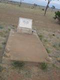 image of grave number 310483