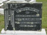 image of grave number 812546