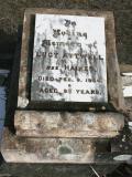image of grave number 862060