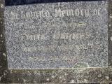 image of grave number 306965