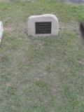 image of grave number 307354