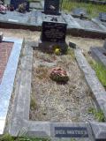 image of grave number 128879