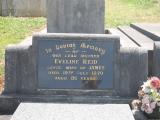 image of grave number 775135