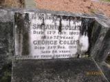 image of grave number 466295