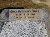 image of grave number 464810