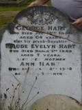 image of grave number 492282