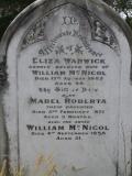 image of grave number 492283