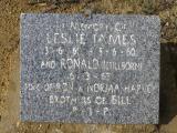image of grave number 505297