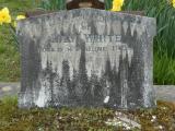 image of grave number 821946