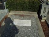 image of grave number 133879