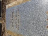 image of grave number 643667
