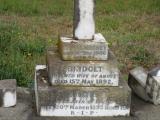 image of grave number 504301