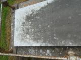 image of grave number 956478