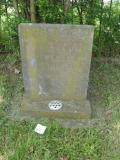 image of grave number 423061
