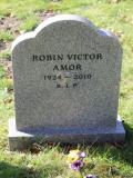 image of grave number 462908