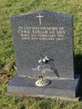 image of grave number 463913