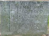 image of grave number 343512