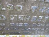 image of grave number 324467
