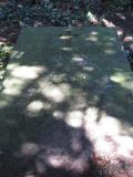 image of grave number 325039