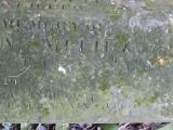 image of grave number 325042