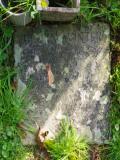 image of grave number 960240