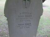 image of grave number 164510