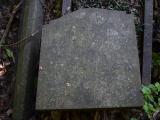 image of grave number 645740