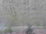 image of grave number 633258