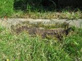 image of grave number 404642
