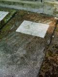image of grave number 337707