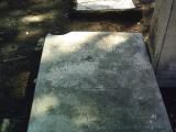 image of grave number 337717