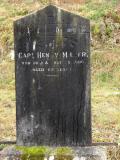image of grave number 176351