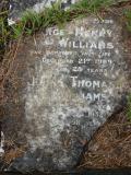 image of grave number 177351