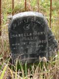 image of grave number 176469