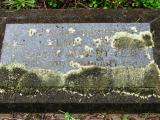 image of grave number 176707