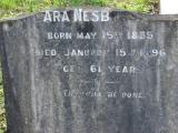image of grave number 176915