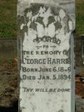 image of grave number 131808